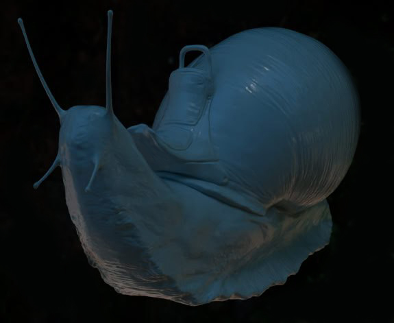 snail