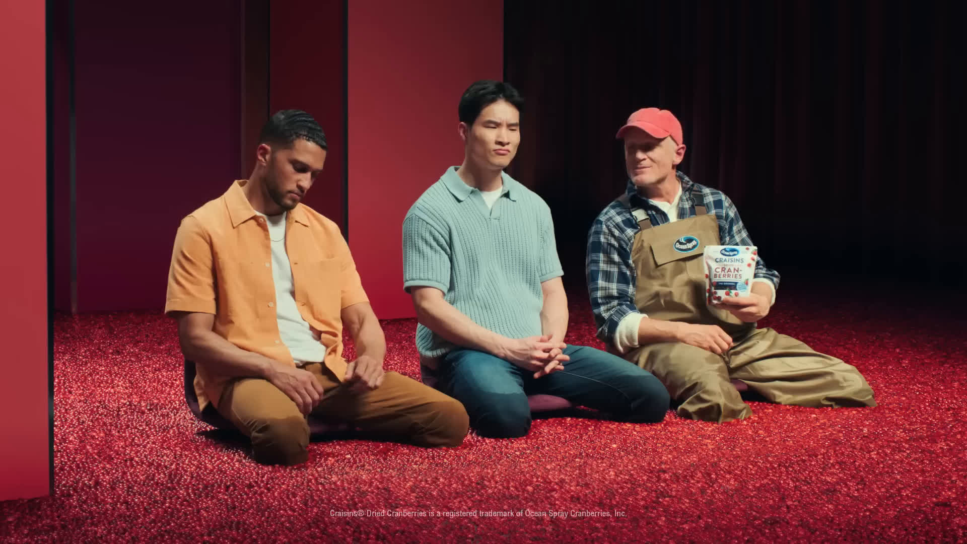 Ocean Spray Cranberry FLIP Simulation